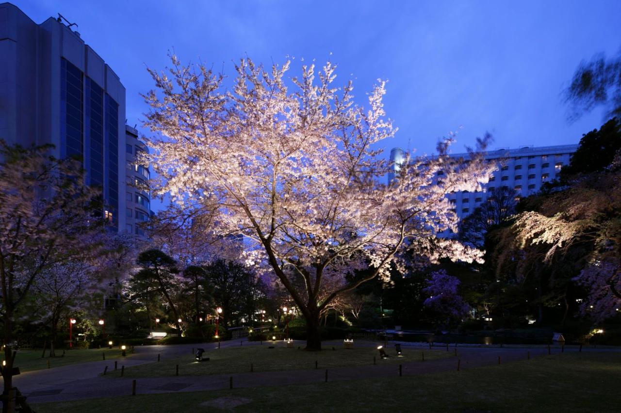 高轮大王子酒店 東京都 外观 照片 Illuminated cherry trees at night