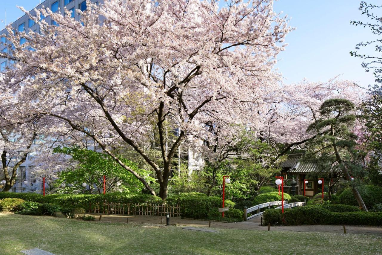 高轮大王子酒店 東京都 外观 照片 Sakura at the Japanese garden