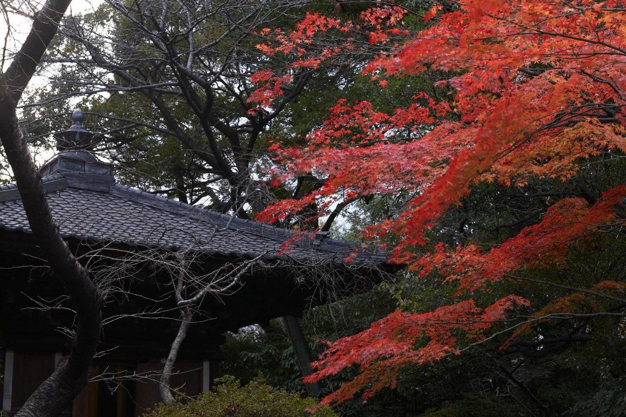 高轮大王子酒店 東京都 外观 照片 Autumn colours at the shrine