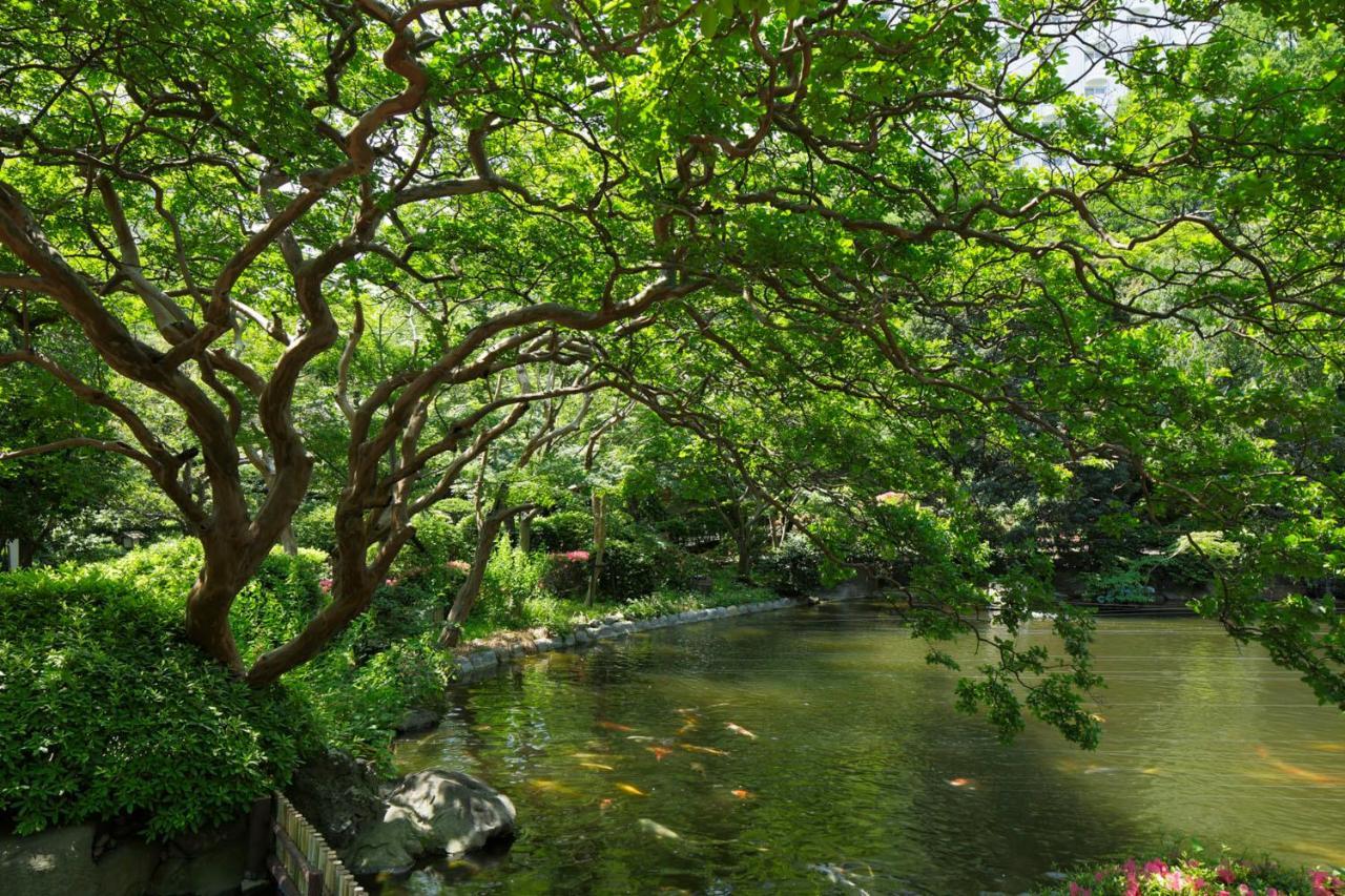 高轮大王子酒店 東京都 外观 照片 The lake at the park